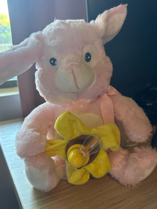 Other - Plush Pink Bunny with Yellow Flower Pacifier Holder - Kids Accessories